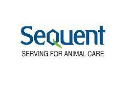 client